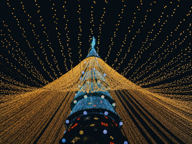 Экскурсия по новогодней Казани «Загадай желание под ёлкой!»