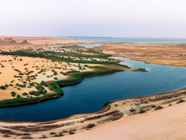 Пустынное сафари в Файюме – Вади-аль-Хитан и водопады – индивидуальная экскурсия