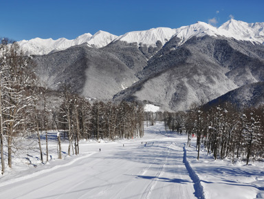 Красная Поляна: от горных вершин до поющих фонтанов – индивидуальная экскурсия