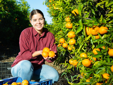 Авторский джип-тур «Красавица Рица, Гегский водопад и мандариновый сад» – групповая экскурсия