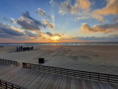 Куршская коса, Зеленоградск, Светлогорск, Янтарный – индивидуальная экскурсия