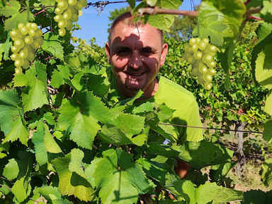 Янтарные гроздья Кубани - по винодельням Краснодарского края – индивидуальная экскурсия
