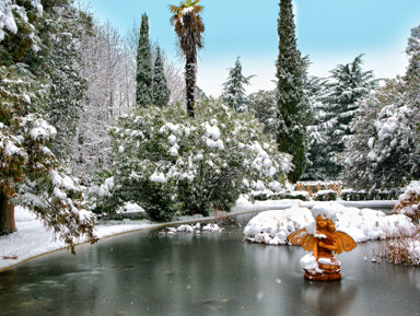 Сочи – любимый курорт россиян. Экскурсия по историческим и памятным местам 