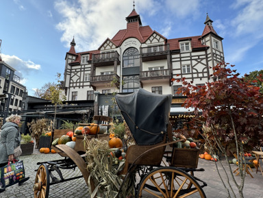 Куршская коса и Зеленоградск. Просто и со вкусом – индивидуальная экскурсия