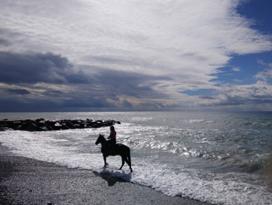 На лошадях к Чёрному морю – групповая экскурсия