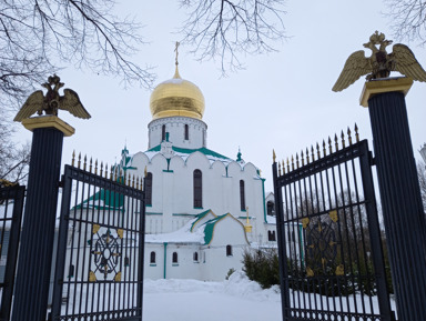 Экскурсия «Из Петербурга — в Царское Село: Дворец, Парк и Лицей» 