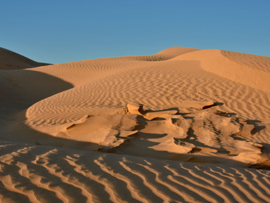 Бархан Большой брат: Путешествие в астраханскую пустыню – индивидуальная экскурсия