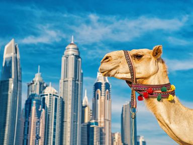 Феноменальный Дубай – индивидуальная экскурсия