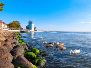 Янтарное побережье из Зеленоградска – индивидуальная экскурсия
