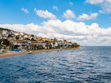 Умиротворение на Принцевых островах: история и живописные виды – групповая экскурсия