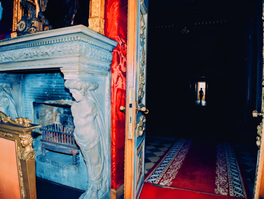 Особняк Половцова: парадные залы за закрытой дверью – групповая экскурсия