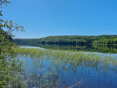 Экспедиция на  озеро Товское Архангельская область  – групповая экскурсия
