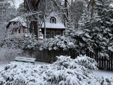 «Янтарное ожерелье» – индивидуальная экскурсия