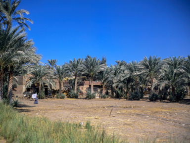 Волшебный Каир: легендарные пирамиды, музей и аутентичная деревня – индивидуальная экскурсия