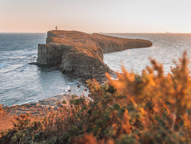 Прогулка на мыс Тобизина и в бухту Чернышева – групповая экскурсия