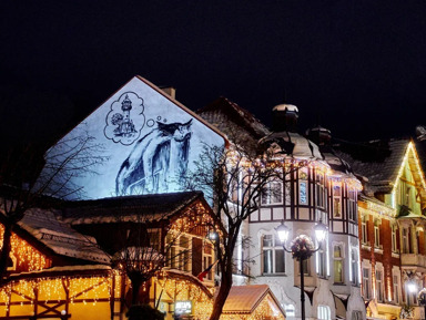 Новогодний Зеленоградск с дегустацией в сыроварне (мини-группа) – групповая экскурсия