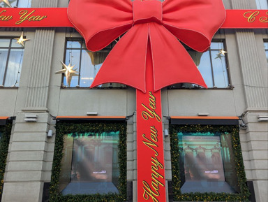 В поисках новогоднего настроения: прогулка по праздничной Москве – групповая экскурсия