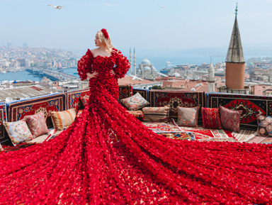 Стамбульская фотосессия на крыше с чайками – групповая экскурсия