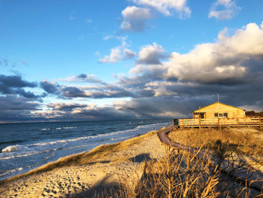 Куршская коса — уникальное явление природы – индивидуальная экскурсия