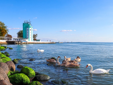 Балтийск, Янтарный, Светлогорск и Филинская бухта из Зеленоградска  – групповая экскурсия