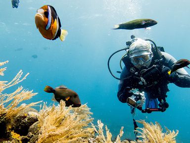 Бали: о, дивный подводный мир! – индивидуальная экскурсия