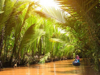 Настоящий Вьетнам в дельте реки Меконг – индивидуальная экскурсия
