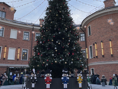 Вокруг да около Новой Голландии – индивидуальная экскурсия