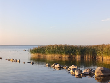 Балтийское побережье: Куршская коса, Светлогорск, Зеленоградск – индивидуальная экскурсия