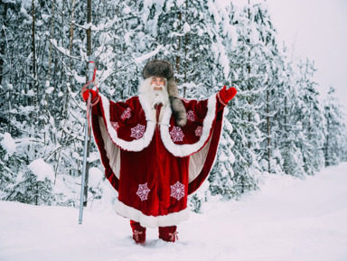 Невероятная Карелия: в Новый Год 2026 вокруг Ладоги – групповая экскурсия