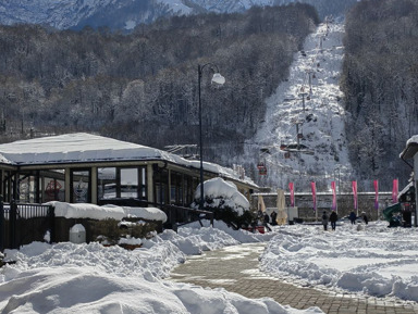 Красная Поляна ПРЕМИУМ экскурсия + шоу поющих фонтанов