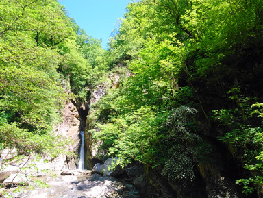 Поход на Агурские водопады и гору Ахун – индивидуальная экскурсия