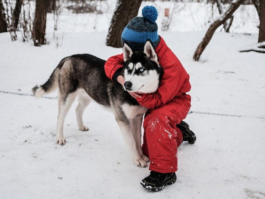 Новогодние приключения у Белого Клыка – групповая экскурсия