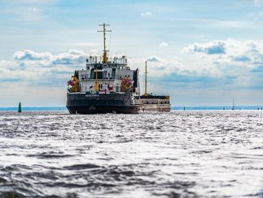 А поехали к морю? В Кронштадт, зелёный город на семи ветрах! – индивидуальная экскурсия