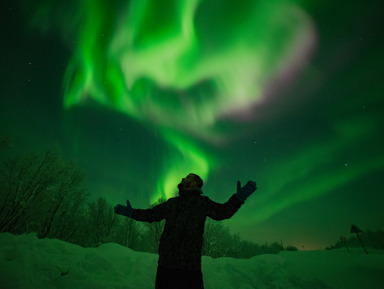 Север на ладони: Сияние,Териберка, Саами, Хибины Мурманск – групповая экскурсия