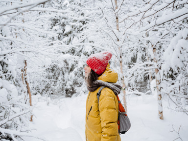 Групповая (сборная) экскурсия на Центральные Столбы «Таёжная сказка»
