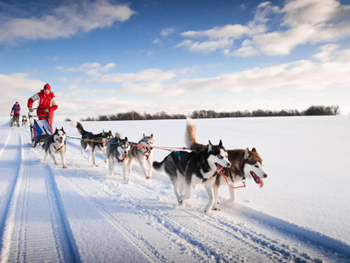 Дивный день в Карелии: водопады, хаски, водная прогулка на драккаре к форелевой ферме – групповая экскурсия