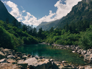 Путешествие по восточной Абхазии: рыбалка, горы и самшитовая роща – индивидуальная экскурсия