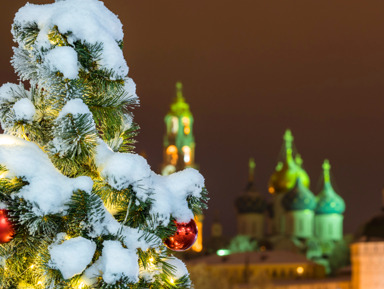 Новогодний Сергиев Посад: традиция и современность — пешеходная прогулка – групповая экскурсия