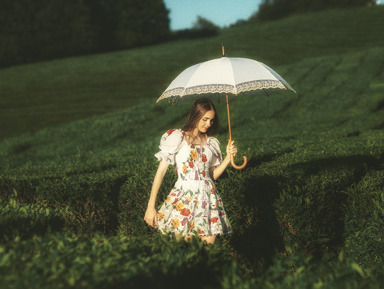 Сочи, который вы не знали: дикая природа Солох-Аула, с комфортом – индивидуальная экскурсия