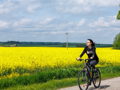 BIKE CAMP НА 4 ДНЯ - Цикличный тур в Калининград – групповая экскурсия
