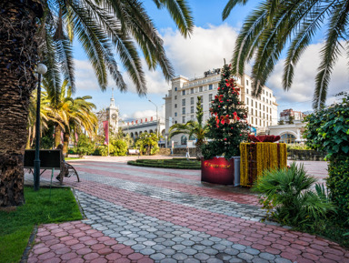 Сочи, море, Новый год! – индивидуальная экскурсия