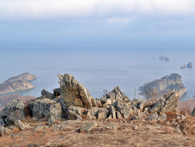 Морской заповедник Гамова: изумрудное море и краснокнижные японские сосны – групповая экскурсия