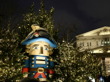 Новогодняя Москва - атмосферная экскурсия по центру с гаданием и чаем