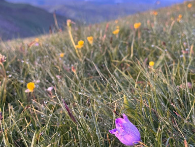 Путешествие в Архыз: перевал Гумбаши, Шоанинский храм и аланское городище – групповая экскурсия