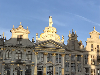 Топ 20 достопримечательностей Брюсселя - автомобильно-пешеходный тур – индивидуальная экскурсия