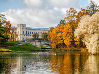 Экскурсия в Гатчину в мини-группе  