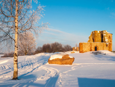 Перезагрузка в Новгородской деревне – индивидуальная экскурсия