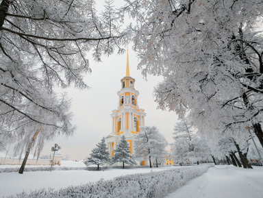 Новогодние каникулы в Рязанском княжестве (с посещением Тулы и Коломны) – групповая экскурсия