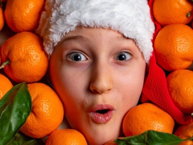 ЗИМНЯЯ СКАЗКА - Рукотворная Абхазия, Сухум, Кындык, Черниговка – групповая экскурсия