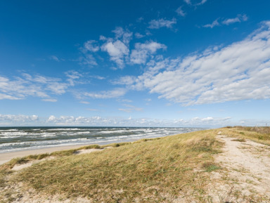 Куршская коса из Зеленоградска с дегустацией сыра и шоколада – групповая экскурсия